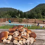 Le Perchoir Du Grand Valtin - 9 Personnes - Altitude 830