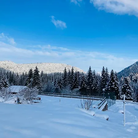 Appartement Le Perchoir Du Grand Valtin - 9 Personnes - Altitude 830