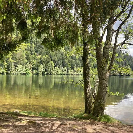 Apartment Le Perchoir Du Grand Valtin - 9 Personnes - Altitude 830