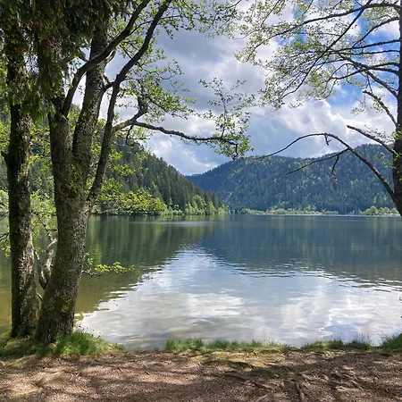 Le Perchoir Du Grand Valtin - 9 Personnes - Altitude 830 Apartman *