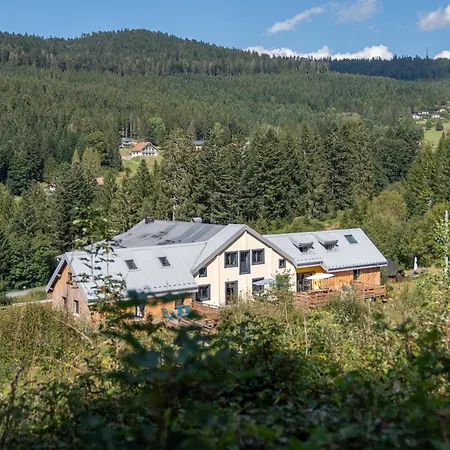 Le Perchoir Du Grand Valtin - 9 Personnes - Altitude 830 Appartement *