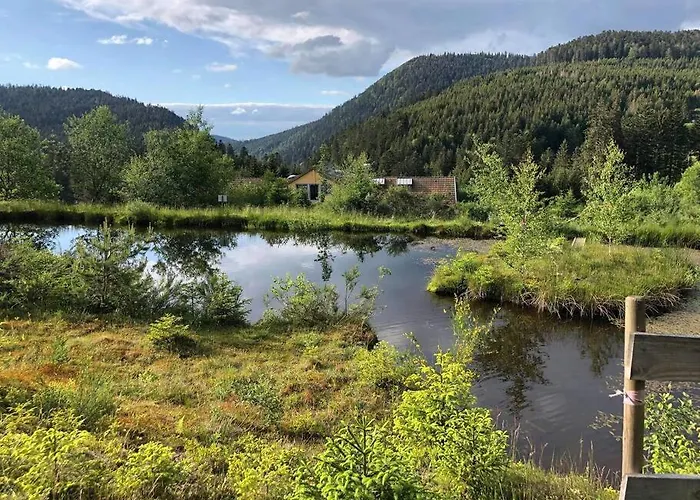 Le Perchoir Du Grand Valtin - 9 Personnes - Altitude 830 *