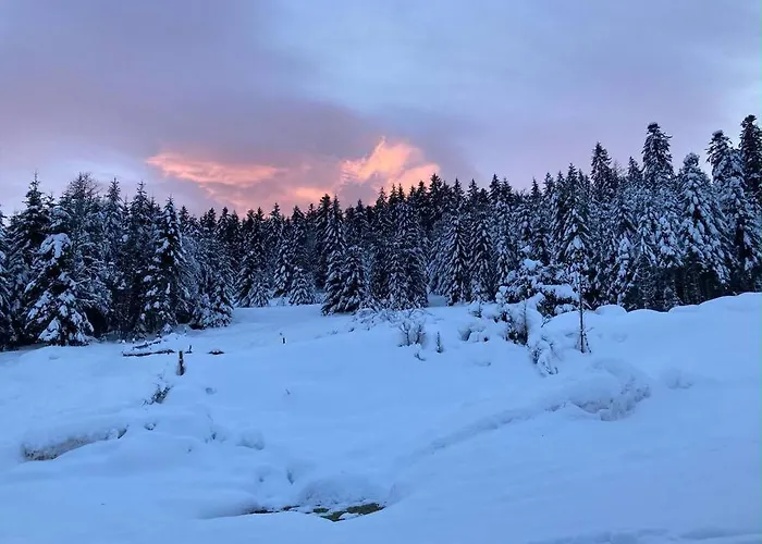 Apartmán Le Perchoir Du Grand Valtin - 9 Personnes - Altitude 830 Ban-sur-Meurthe-Clefcy