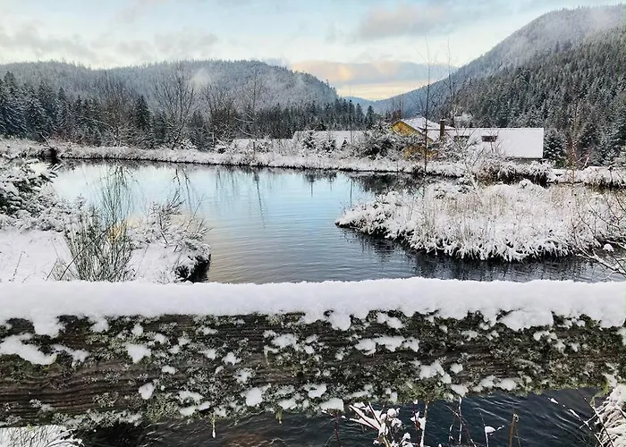 Le Perchoir Du Grand Valtin - 9 Personnes - Altitude 830 Apartmán *