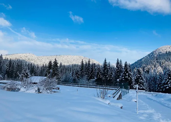 Apartmán Le Perchoir Du Grand Valtin - 9 Personnes - Altitude 830