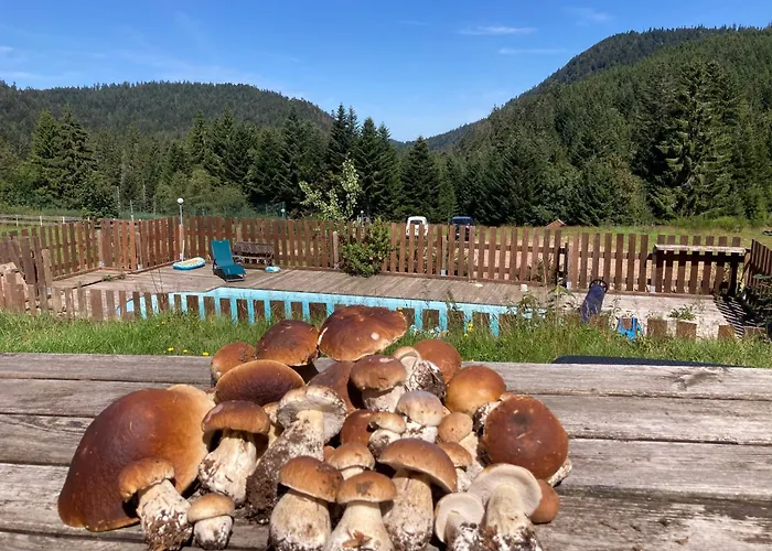 Le Perchoir Du Grand Valtin - 9 Personnes - Altitude 830