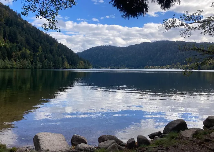 Apartmán Le Perchoir Du Grand Valtin - 9 Personnes - Altitude 830 Ban-sur-Meurthe-Clefcy