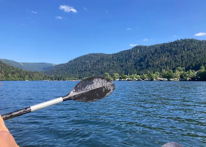 Le Perchoir Du Grand Valtin - 9 Personnes - Altitude 830