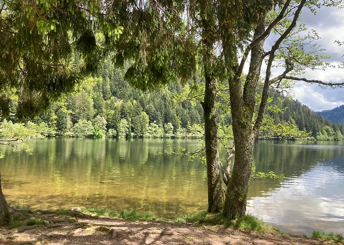 Apartmán Le Perchoir Du Grand Valtin - 9 Personnes - Altitude 830