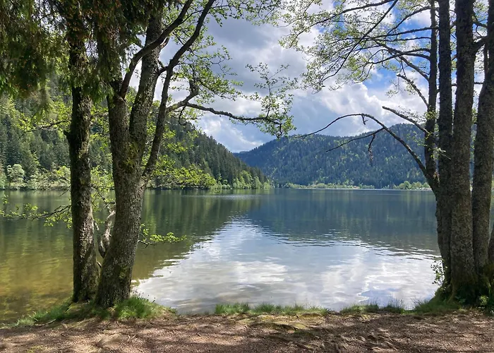 Le Perchoir Du Grand Valtin - 9 Personnes - Altitude 830 Apartmán *