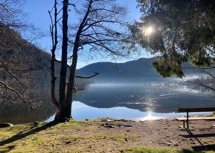 Le Perchoir Du Grand Valtin - 9 Personnes - Altitude 830 *