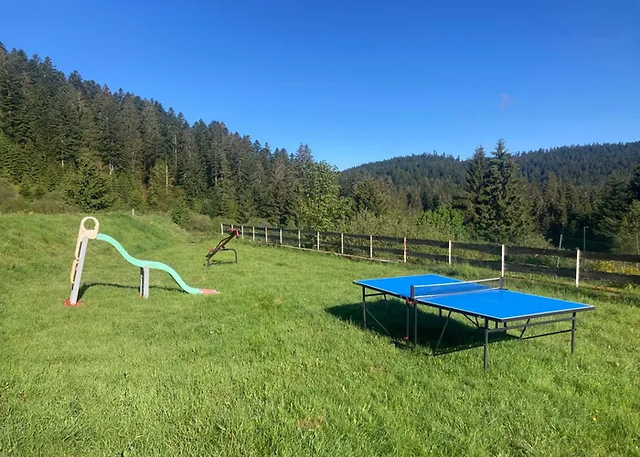 Le Perchoir Du Grand Valtin - 9 Personnes - Altitude 830 *