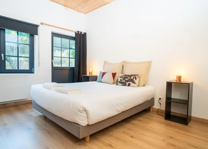 Le Perchoir Du Grand Valtin - 9 Personnes - Altitude 830 *