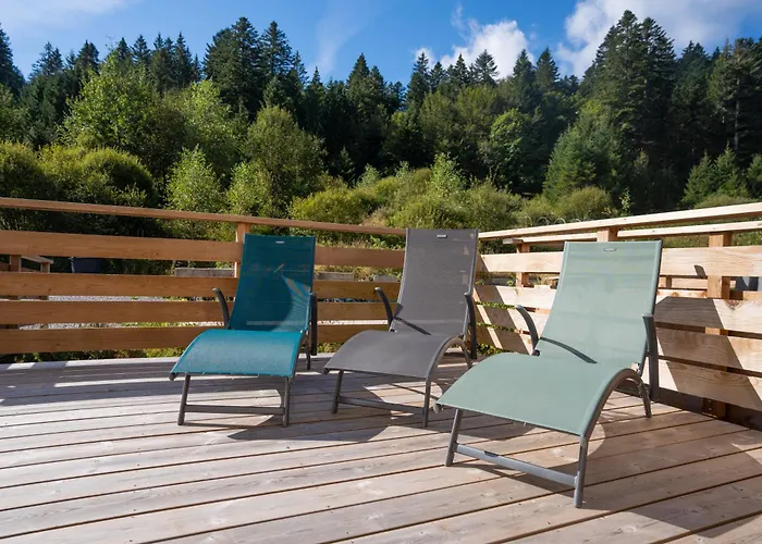 Apartmán Le Perchoir Du Grand Valtin - 9 Personnes - Altitude 830 *