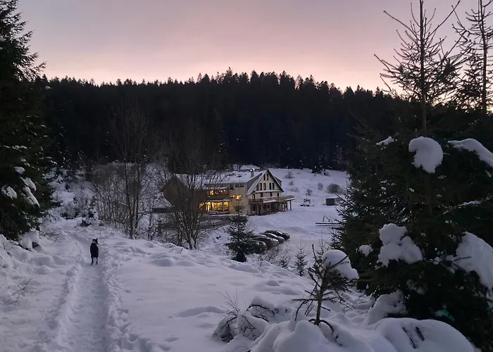 Le Perchoir Du Grand Valtin - 9 Personnes - Altitude 830 Apartmán Ban-sur-Meurthe-Clefcy